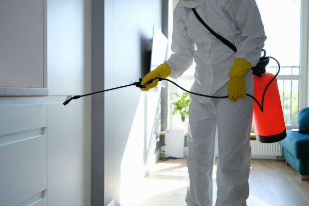Best Mold Damage Repair  in Mount Vista, WA