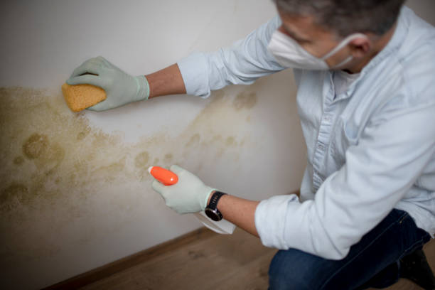 Water Damage Restoration in Mount Vista, WA
